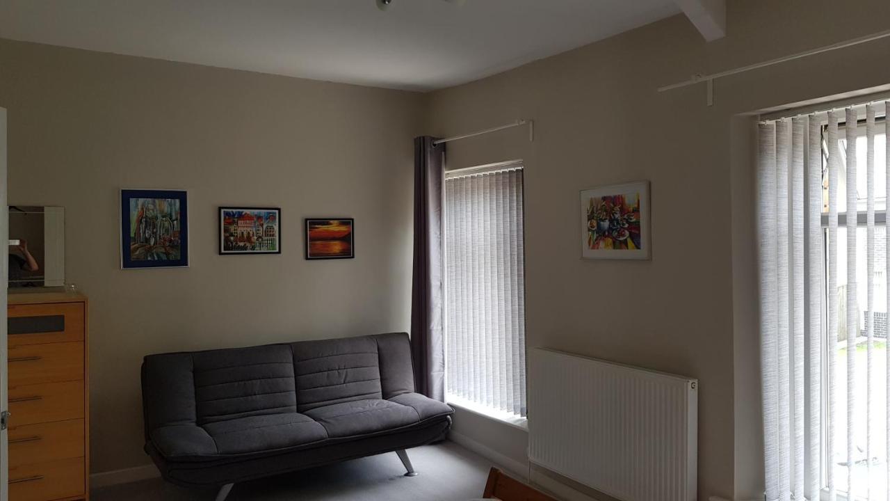 Art studio apartment Briton Ferry Esterno foto